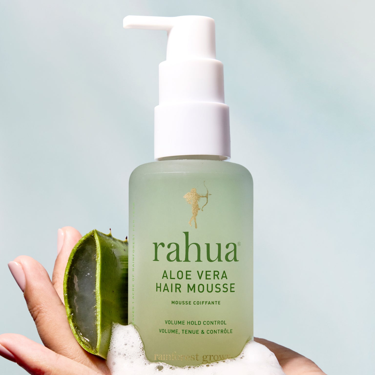 Lift Hair's Spirits  The Detox Market - Canada