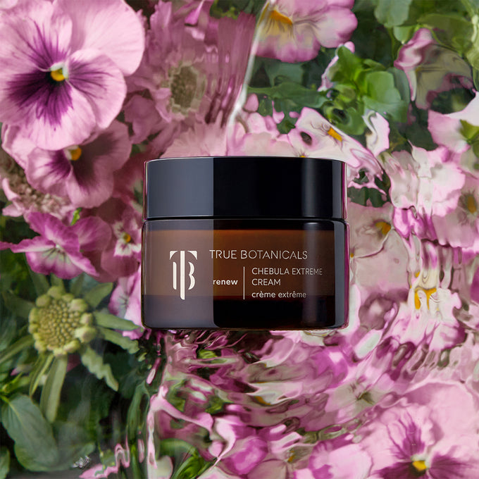 True Botanicals-Renew Chebula Extreme Cream-Skincare-S-W-D-JETM-R-3-The Detox Market | 