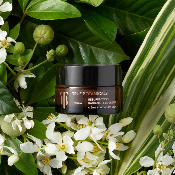 True Botanicals-RENEW Resurrection Radiance Eye Cream-Skincare-S-W-D-RREC-R-3-The Detox Market | 