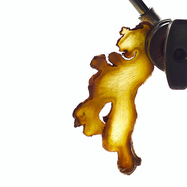 Abel-Nurture-Fragrance-3.Nurture-Ingredient-1-The Detox Market | 