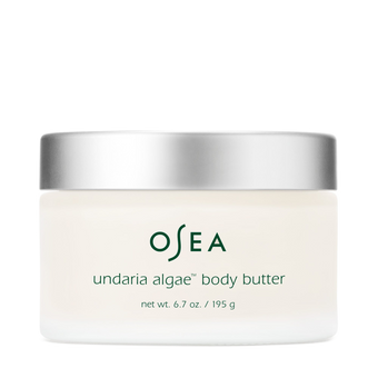 Undaria Algae Body Butter
