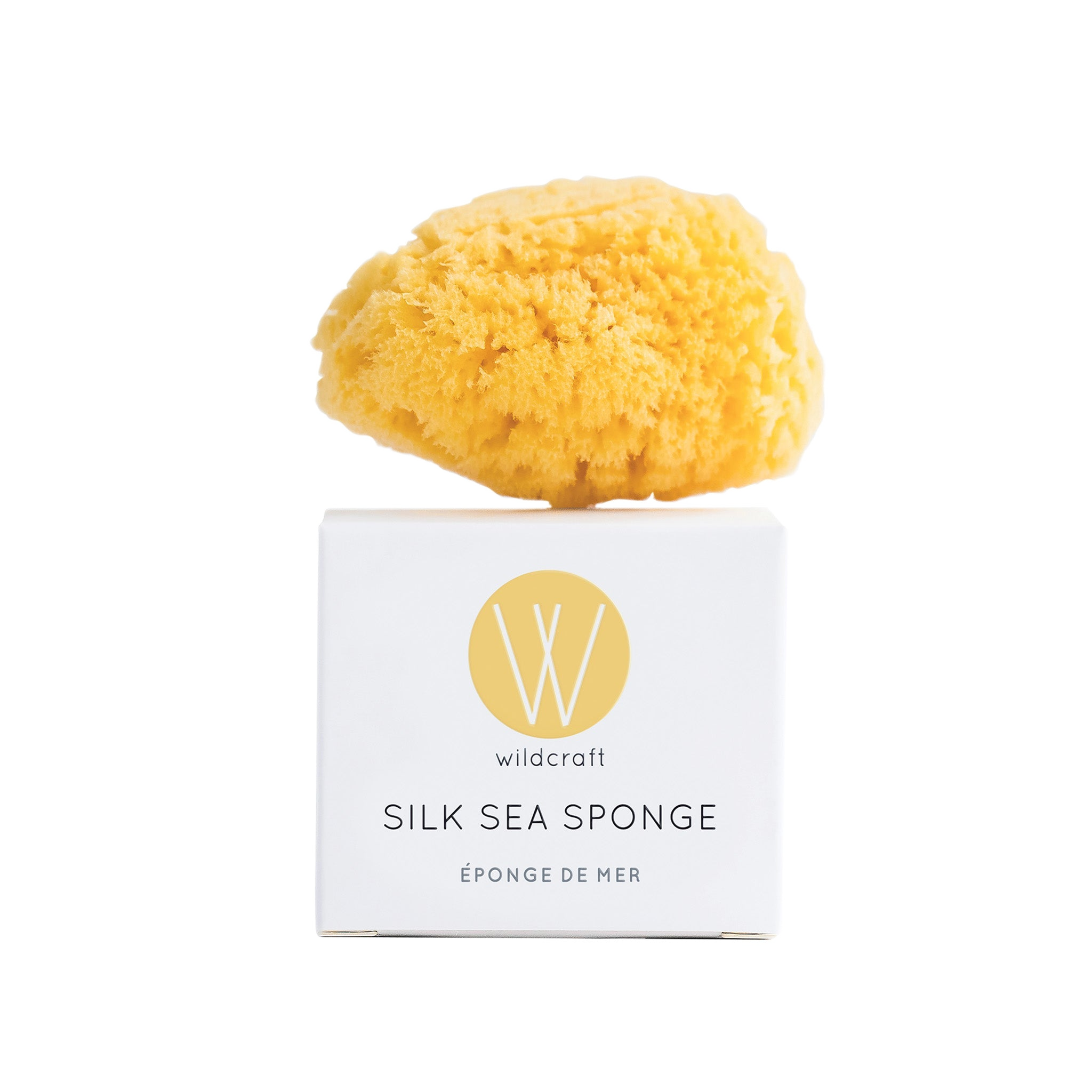 Silk Sea Sponge