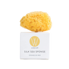 Silk Sea Sponge