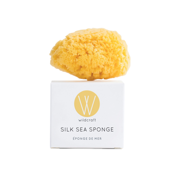 Silk Sea Sponge