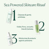OSEA-Ocean Cleanser-Skincare-675468000031_08-The Detox Market | 
