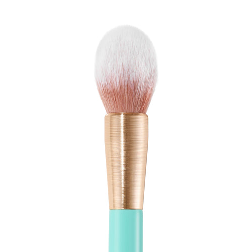Powder Brush – The Detox Market - Canada
