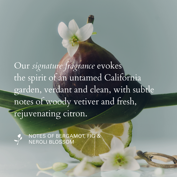 RŌZ-Foundation Shampoo-Hair-850058671215_alt08-The Detox Market | 