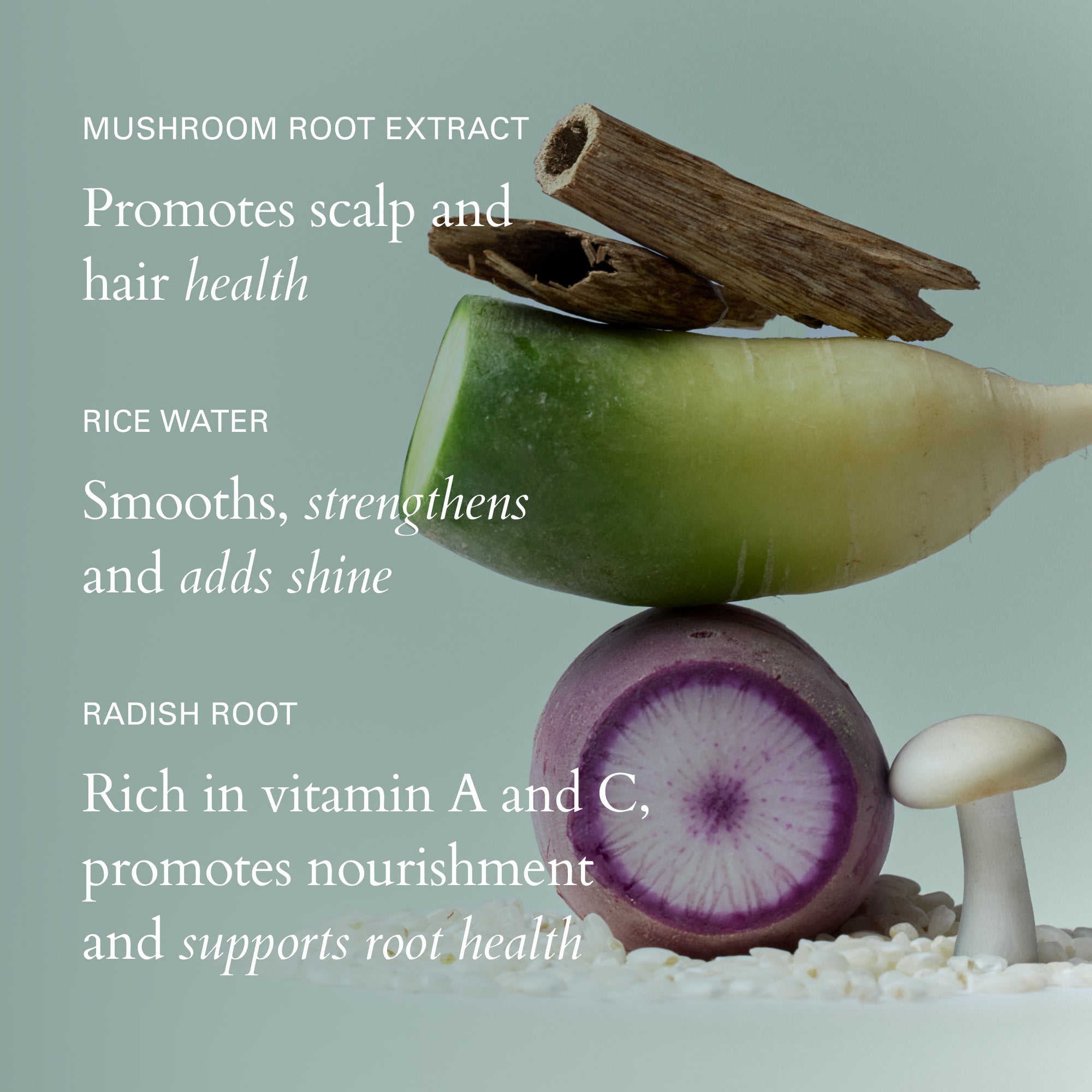 RŌZ-Air Thickening Spray-Hair-850058671345_alt03-The Detox Market | 