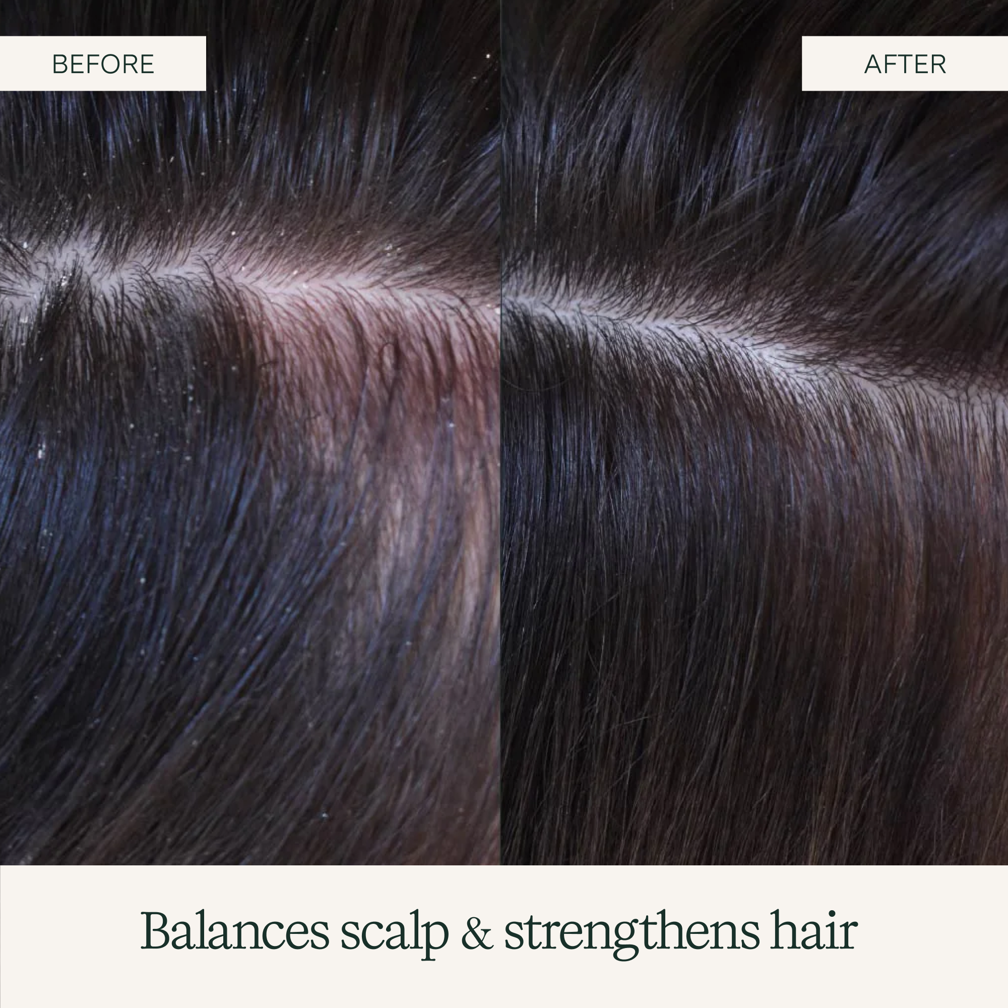 Rahua-Aloe Vera Shampoo-Hair-Aloe_Shampoo_9.3oz_PDP_6-The Detox Market | 