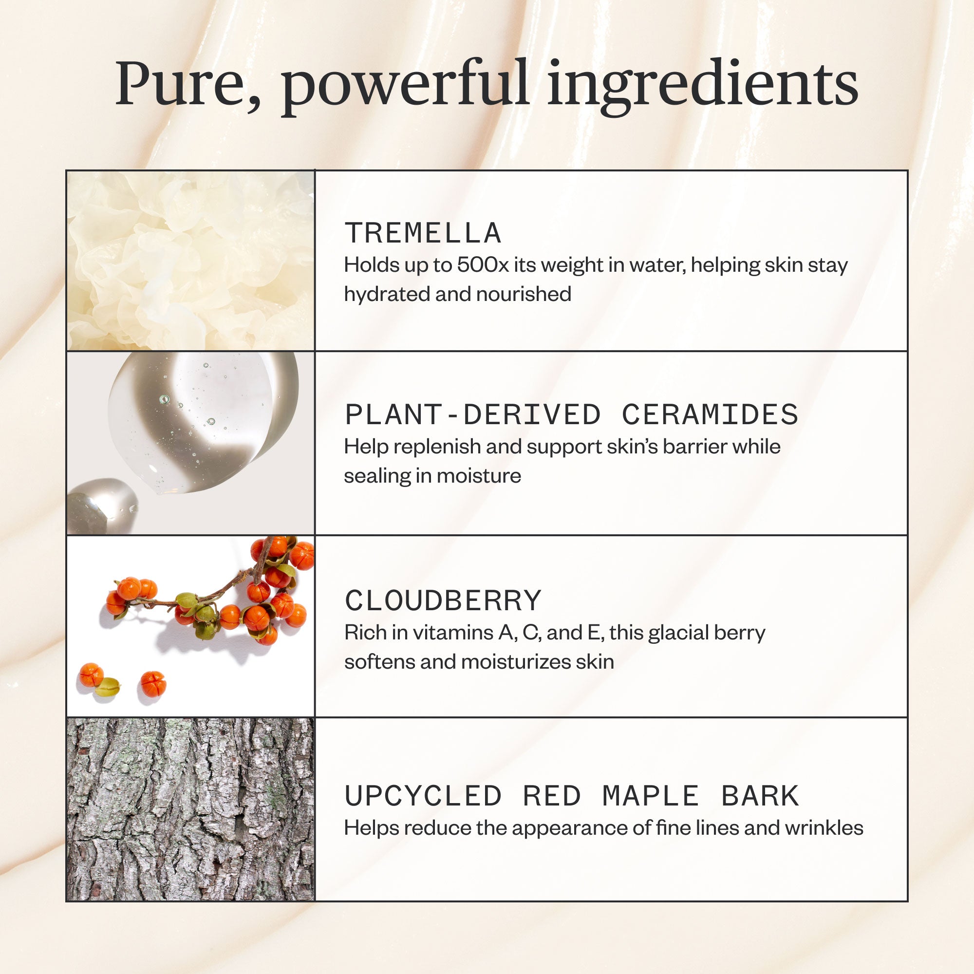 Ursa Major-Alpine Rich Cream-Skincare-Alpine-Rich-Cream-06_72263ccc-076a-4f6a-aef6-dd44b575c98c-The Detox Market | 