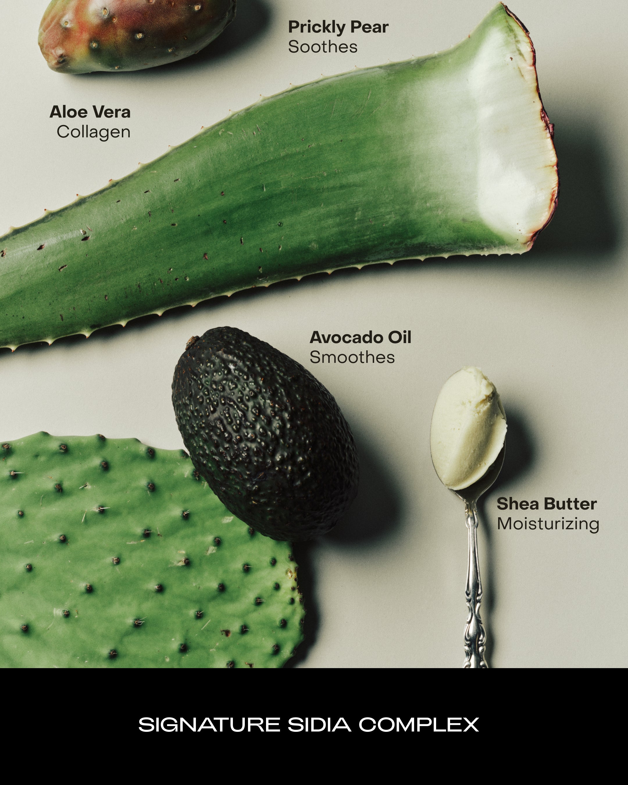 SIDIA-The Hand Serum - Braless-Body-BHSE00PT0-BR12-av-10-The Detox Market | 