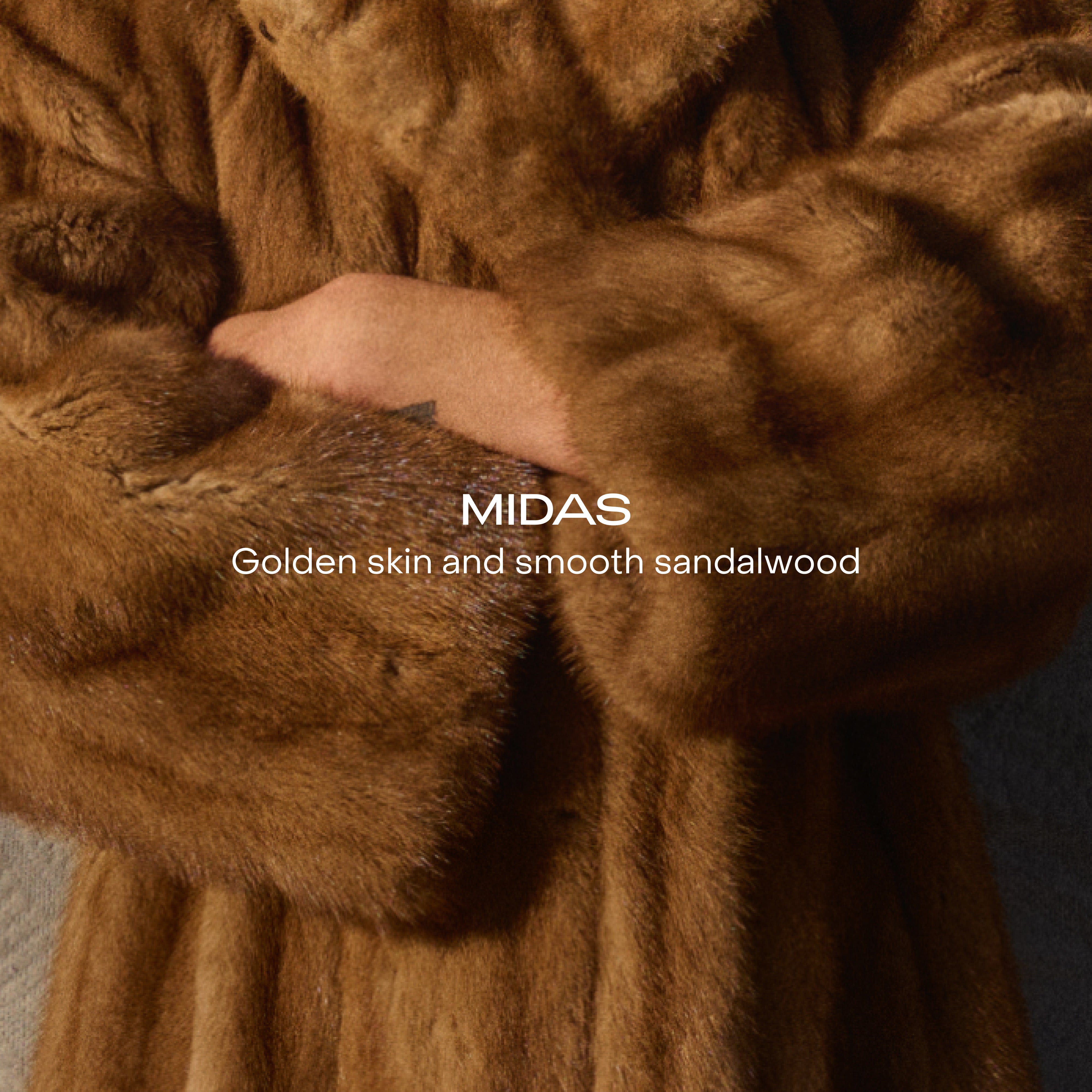SIDIA-Midas: The Hand Serum-Body-BHSE00PT0-MD05-av-9-The Detox Market | 