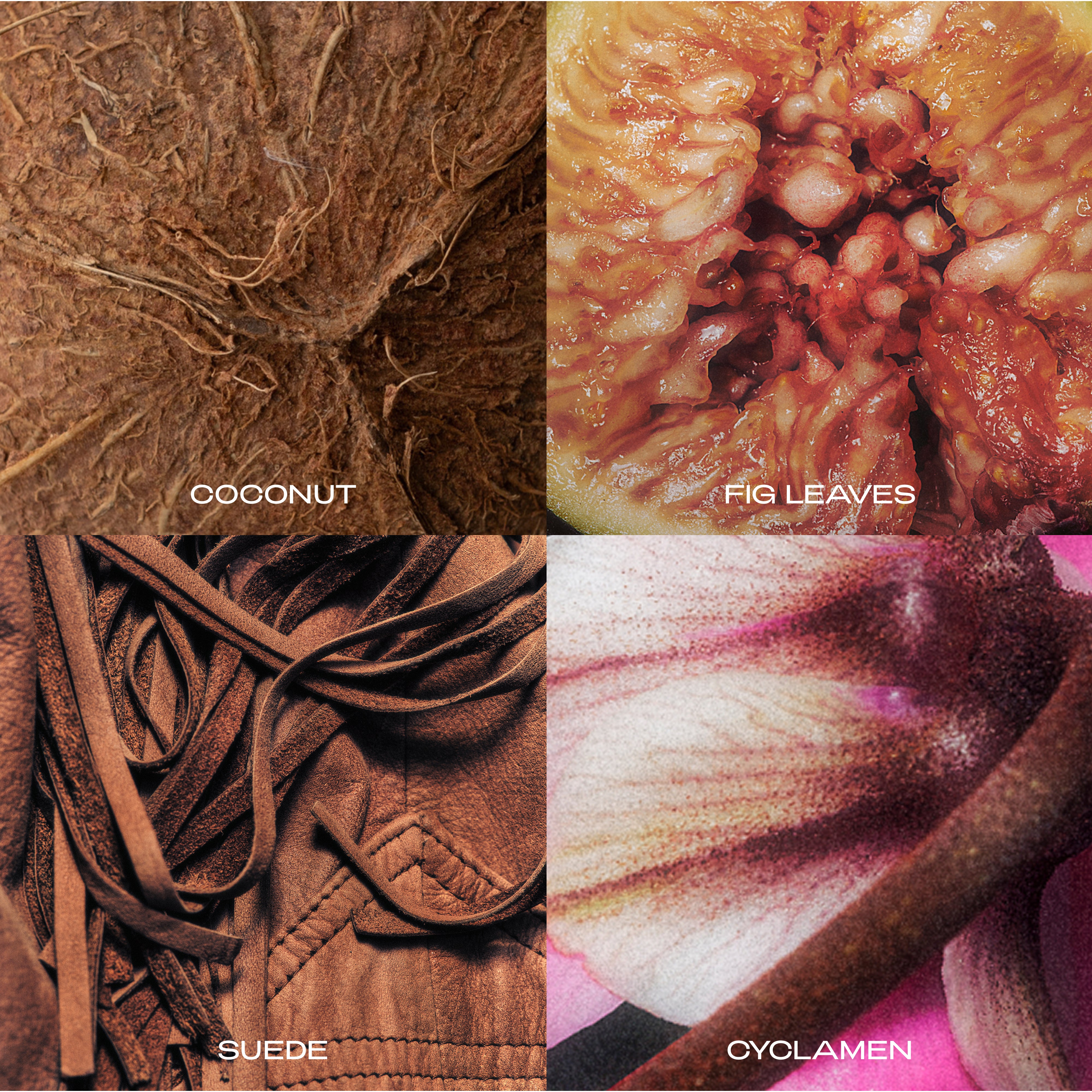 SIDIA-Midas: The Wash-Body-BSWA00P00-MD05-av-5-The Detox Market | 