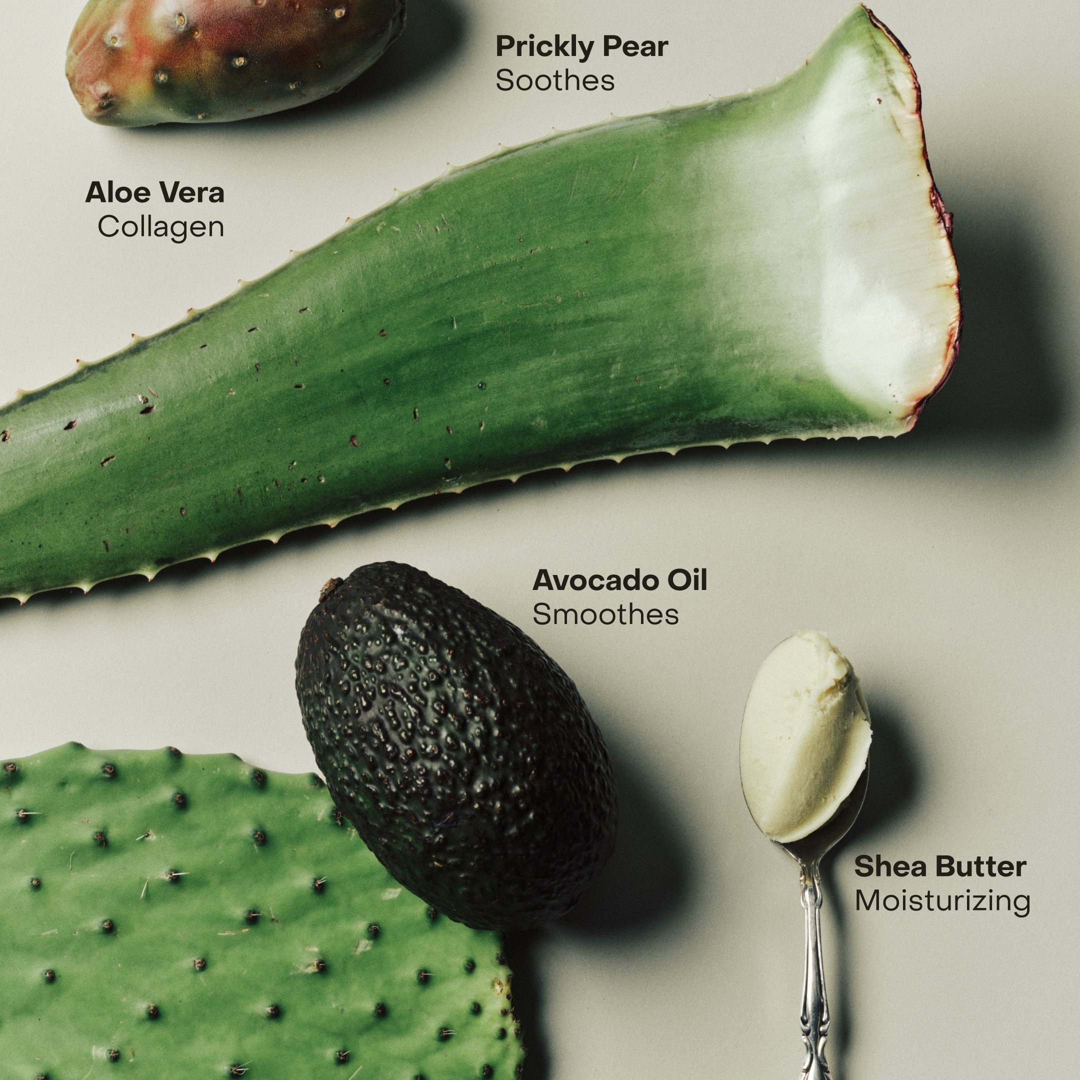 SIDIA-Braless: The Wash-Body-BSWA00PB0-BR12-av-9-The Detox Market | 