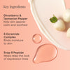 Alpyn Beauty-Barrier Repair Cream-Skincare-BarrierRepairCream_8-The Detox Market | 