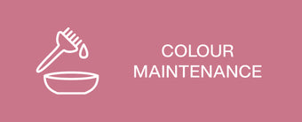 Clean_Hairapy_-_Color-_Rectangle_CA_836dfc4e-e318-42da-9821-c9c044a8a287-The Detox Market - Canada