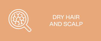 Clean_Hairapy_-_Dry_Sensitive_Scalp_-_Rectangle_b9c41112-2493-4f75-a682-062bc1731645-The Detox Market - Canada