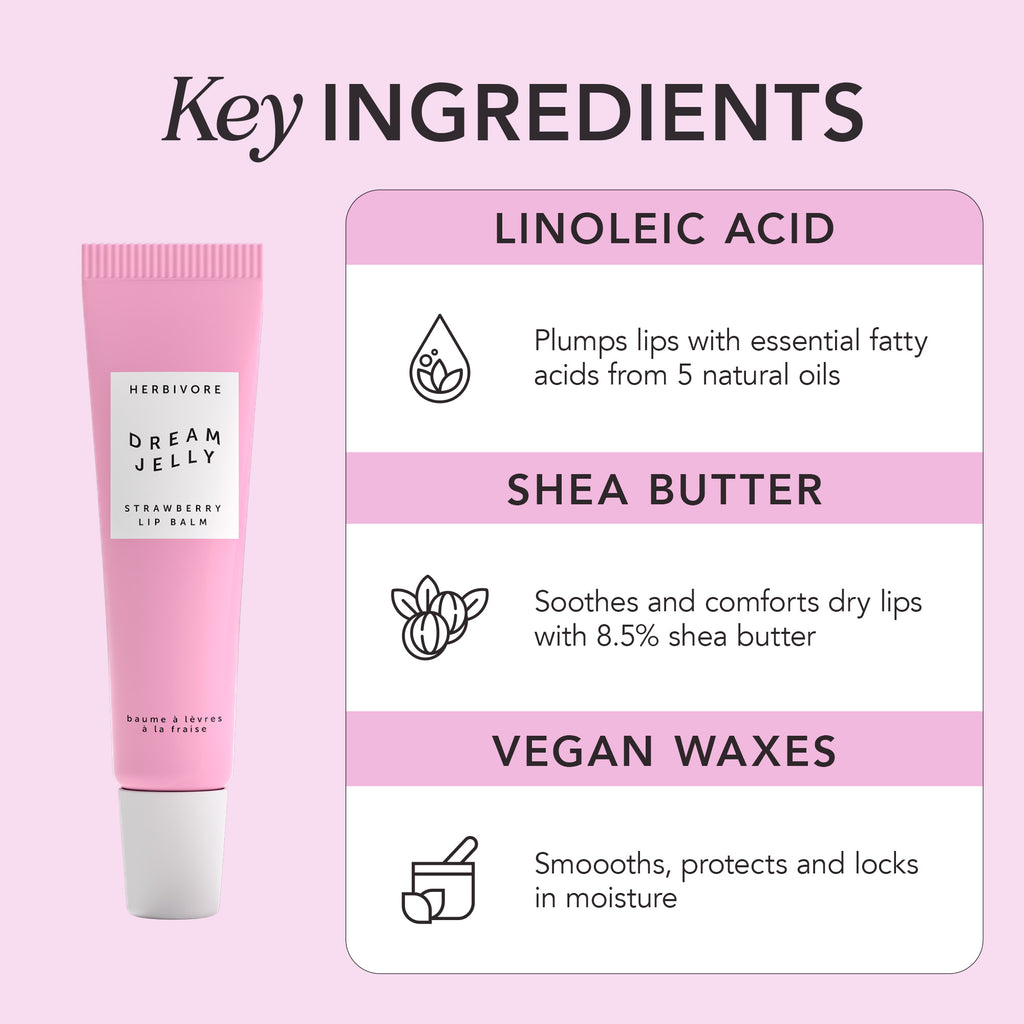 Herbivore-Dream Jelly Strawberry Lip Balm-Skincare-DreamJelly_PDP_8_IngredientInfographic-The Detox Market | 
