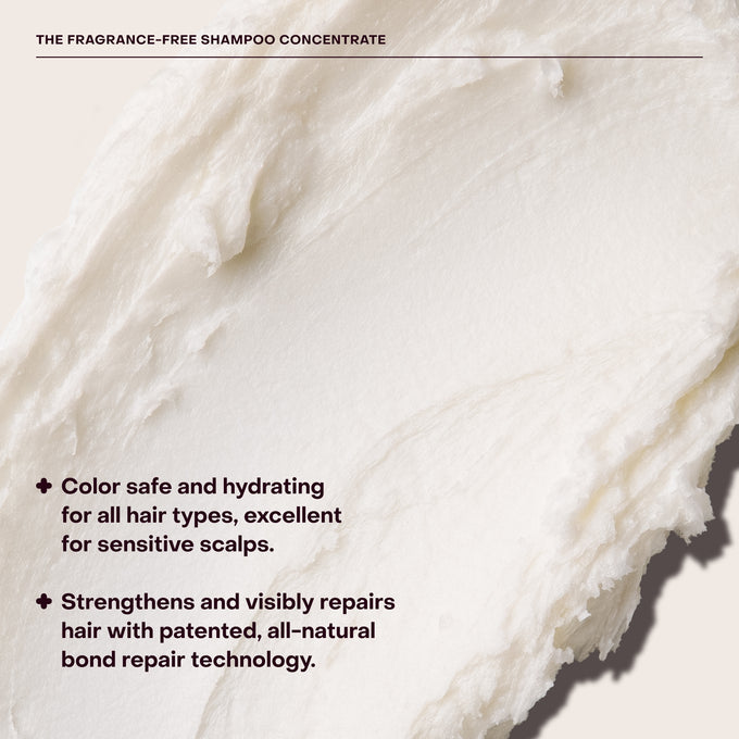 Everist-The Fragrance-Free Shampoo Concentrate-Hair-EVR_002_01202025_Everist_PDP_Images_FFShampoo_Tin_6_76be7880-c190-4ca8-8a29-4d95d07666ab-The Detox Market | 