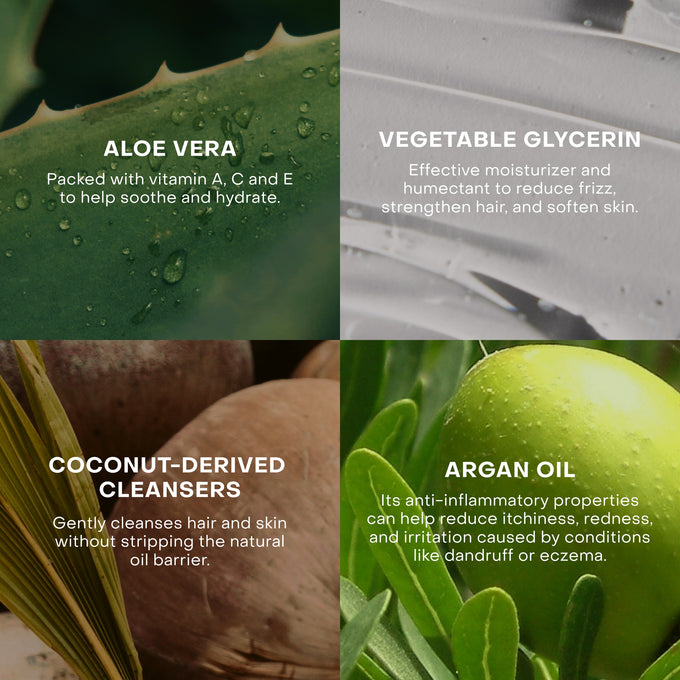 Everist-The Fragrance-Free Shampoo Concentrate-Hair-EVR_002_01202025_Everist_PDP_Images_FFShampoo_Tin_7_bc641775-2325-4279-9def-ac56b0479ff9-The Detox Market | 