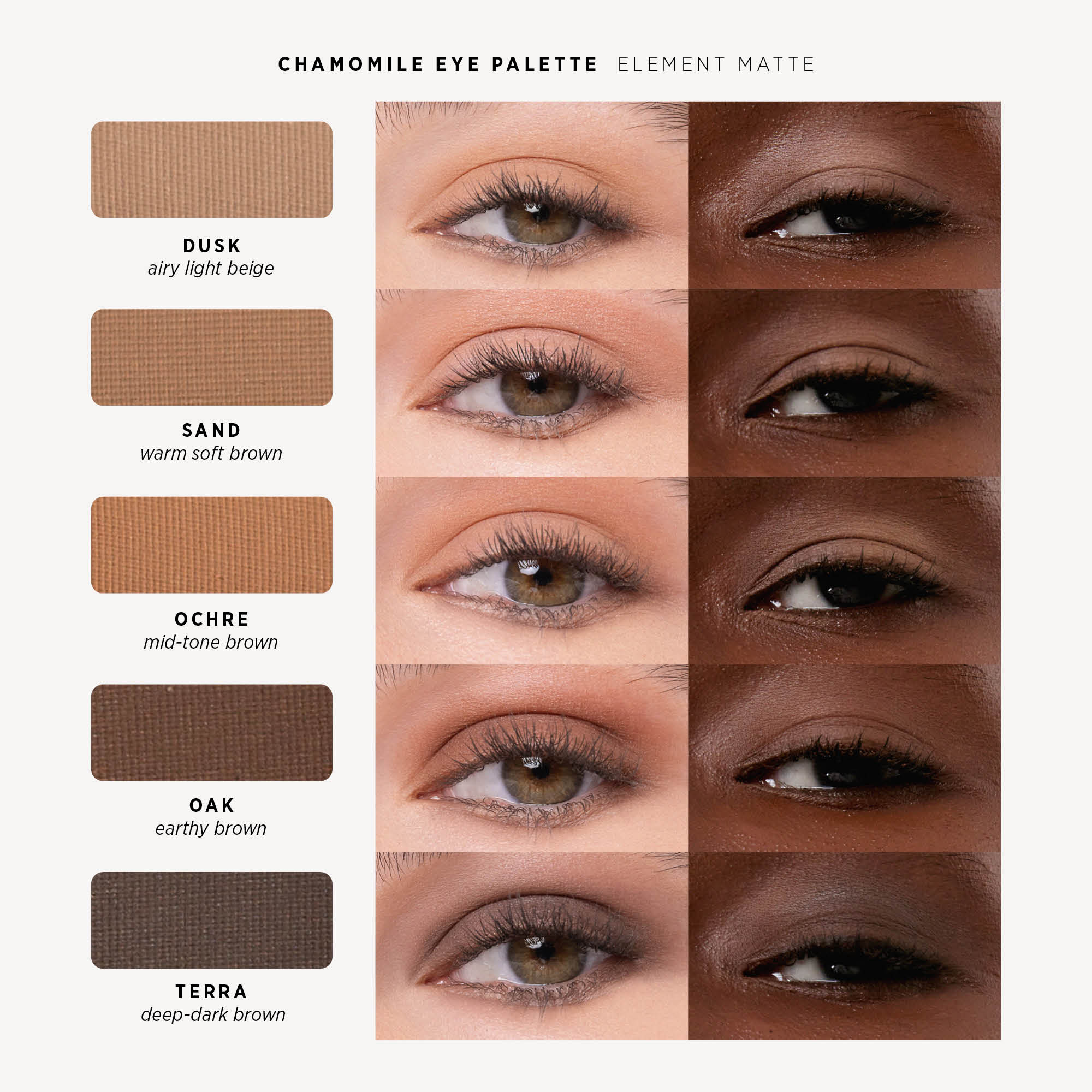 Chamomile Eye Palette
