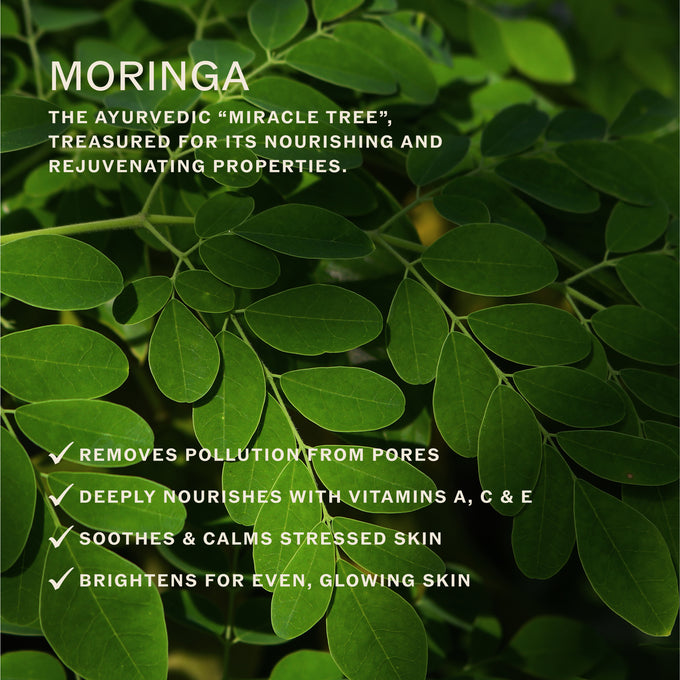 Sahajan-Essential Cleansing Oil with Vitamin C + Squalane-Skincare-Essential-Cleansing-Oil-04-The Detox Market | 