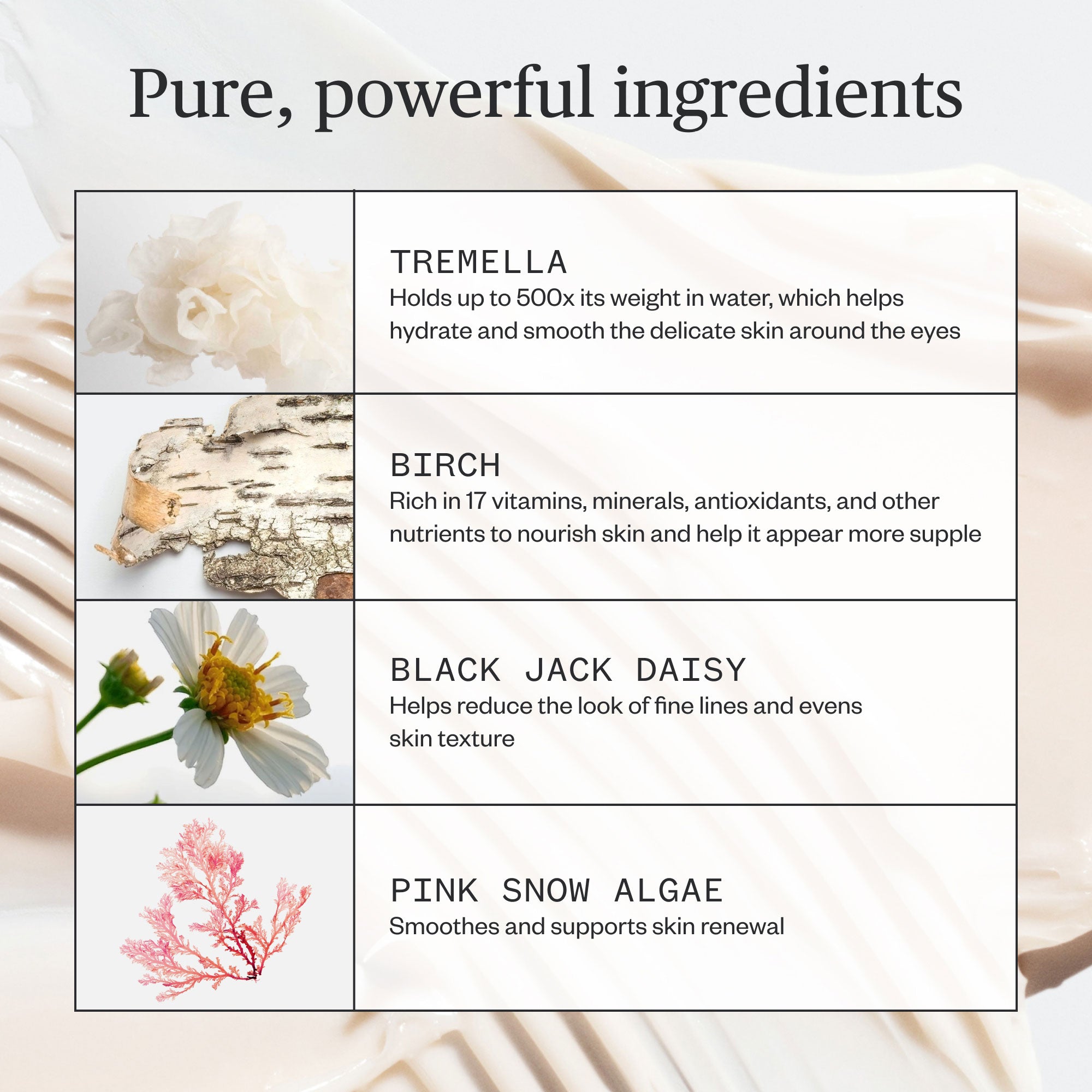 Ursa Major-Forest Alchemy Eye Cream-Skincare-Forest-Alchemy-Eye-Cream-08_75c0fd12-fb88-4fe0-bd4d-9f8542a41943-The Detox Market | 