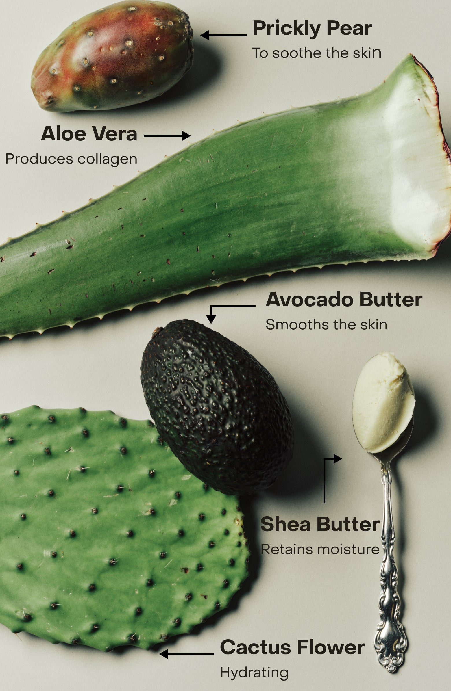 SIDIA-The Hand Exfoliant - Soaked-Body-Frame627373-The Detox Market | 