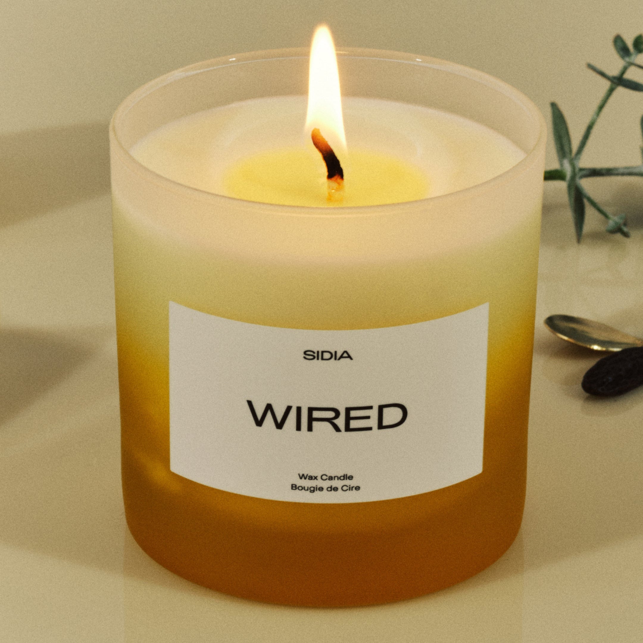 SIDIA-Wired Candle-Home-HCCD00FGO-WR19-av-5_42041683-7020-4386-8893-820e828d48e4-The Detox Market | 