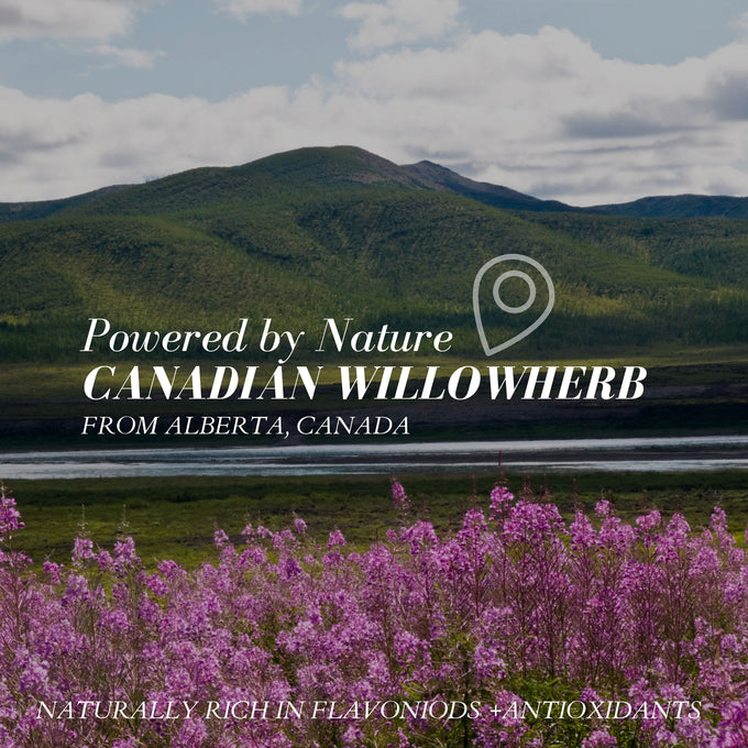 Fitglow Beauty-Birch Hyaluronic Electrolyte Quench + Calm Serum-Skincare-IMAGE_03_BirchHyaluronicSerum_850042717295-The Detox Market | 