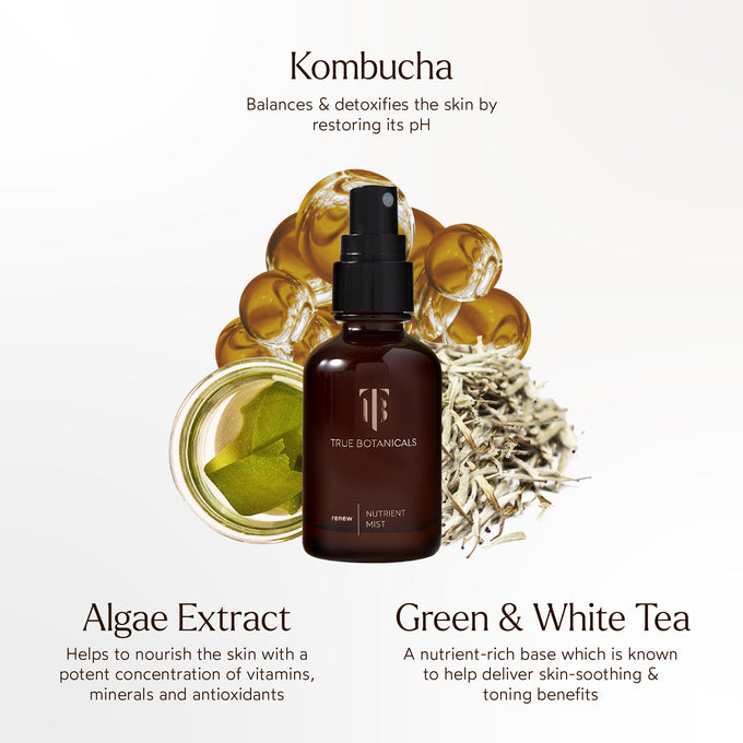 True Botanicals-RENEW Nutrient Mist-Skincare-Ingredients_NutrientMist_2048x2048_ca0ef2cc-1621-4345-9406-4cd72f981779-The Detox Market | 