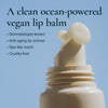 MARA-Algae + Moringa Sea Silk Lip Balm-Skincare-MARA-SSLB-CLEAR_7_9043c108-7fc0-4852-9e30-bf5bf9e5121f-The Detox Market | Always