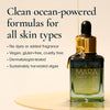 MARA-Algae + Moringa Universal Face Oil-Skincare-MARA-UFO-35_8_0c2e34a8-d424-4c10-8e41-1c6a5ef5f1bd-The Detox Market | 
