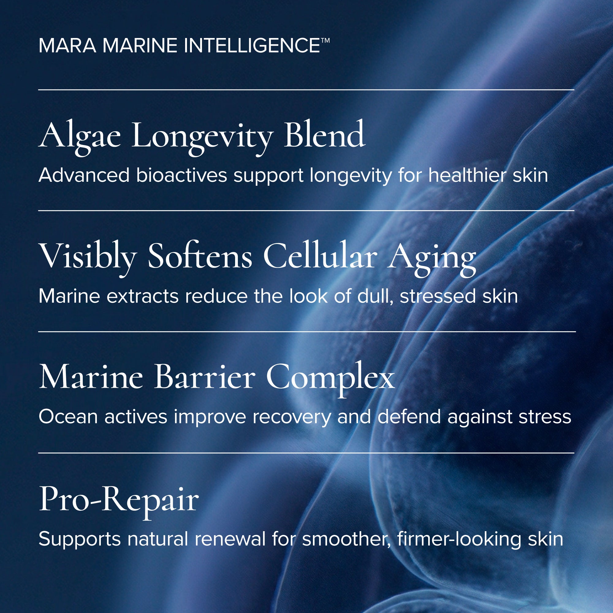 MARA-Volcanic Sea Clay Detox Masque-Skincare-MARA-VSCDM-50_13-The Detox Market | 