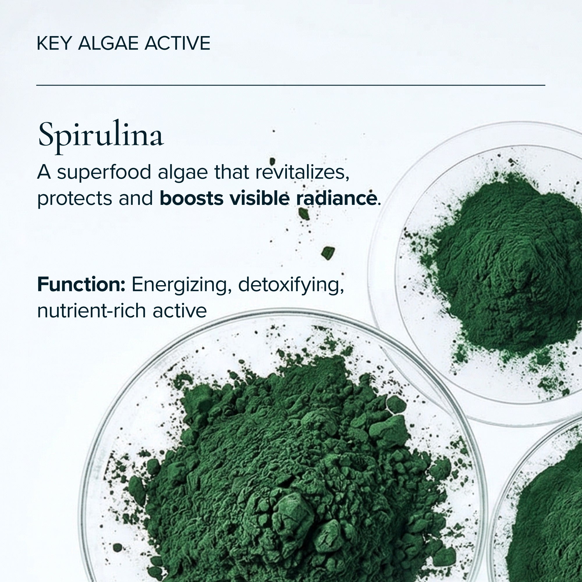 MARA-Volcanic Sea Clay Detox Masque-Skincare-MARA-VSCDM-50_9-The Detox Market | 