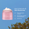 Alpyn Beauty-Melt Moisturizer-Skincare-Melt10_79a1de63-2e8c-4358-abae-fe1ecd91ca82-The Detox Market | 