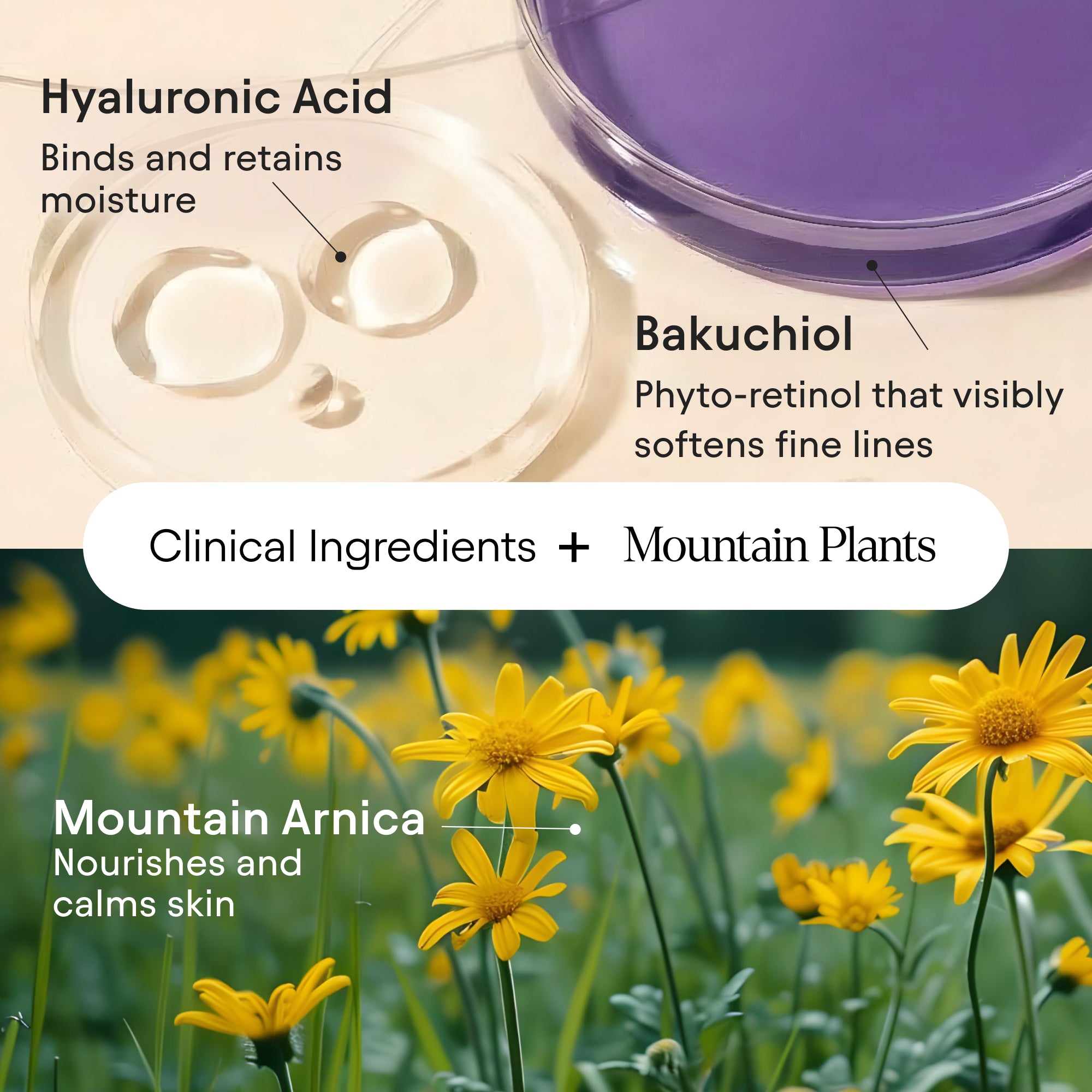 Alpyn Beauty-Melt Moisturizer-Skincare-Melt7_c71f8700-5183-4b82-9c39-7063fca2b2cf-The Detox Market | 