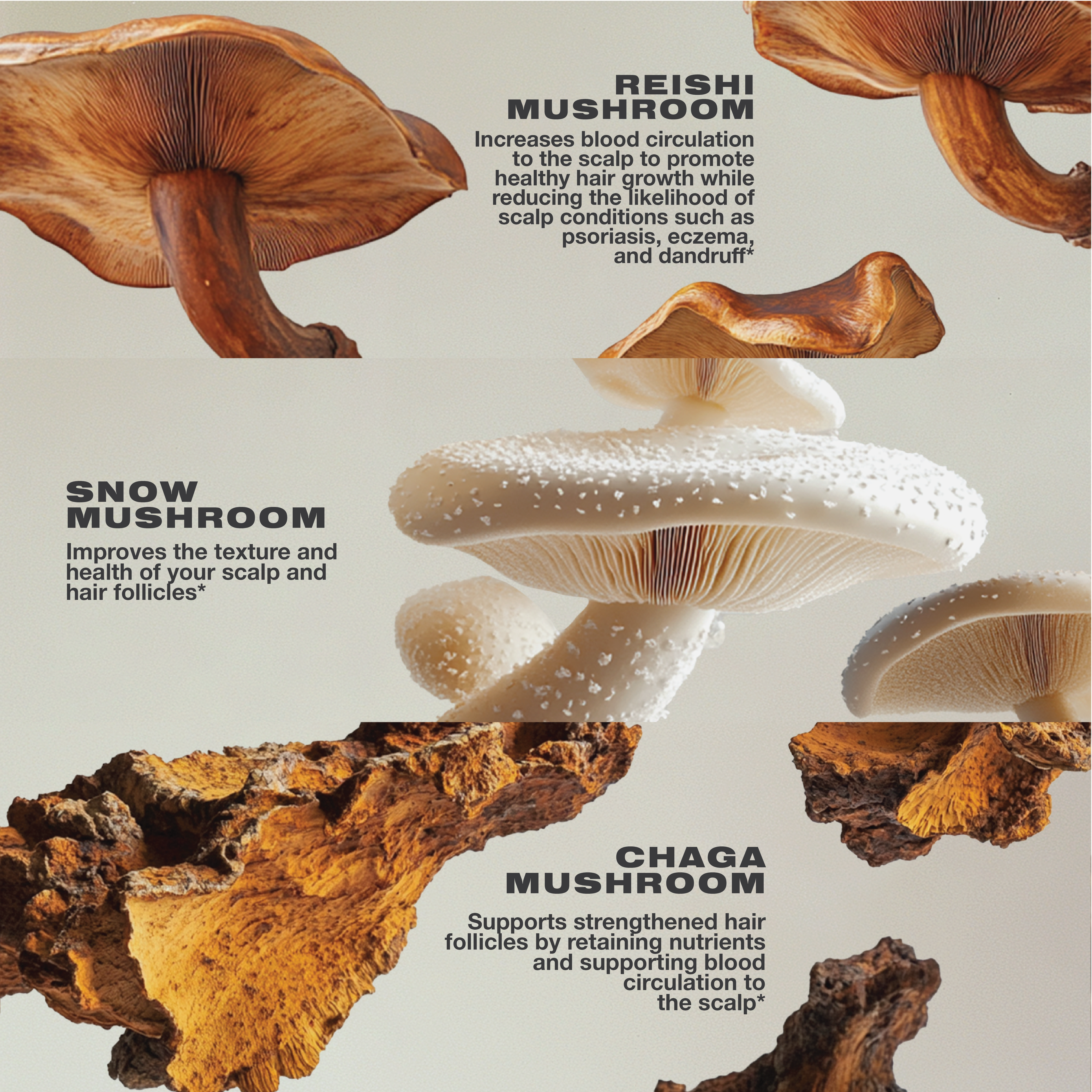 Imarais Beauty-Nourish-Wellness-Nourish_05-The Detox Market | 
