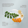 Innersense-Repair Mask-Hair-PDP-Ingredient_1000x1000_72PPI-The Detox Market | 