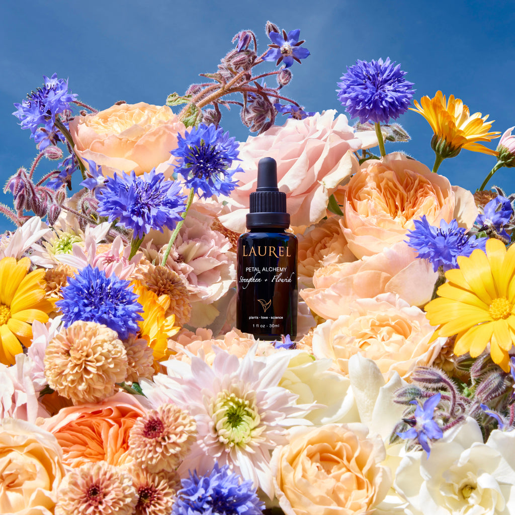 Laurel Skin-Petal Alchemy: Strengthen + Flourish-Skincare-PetalAlchemy_8f02be9d-9813-4d13-9455-db1b4279a346-The Detox Market | 