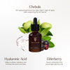 True Botanicals-RENEW Chebula Active Serum-Skincare-S-W-D-RSIS-R-10_11c3ba4c-6a24-433c-a73c-a3dd278e4d3c-The Detox Market | 