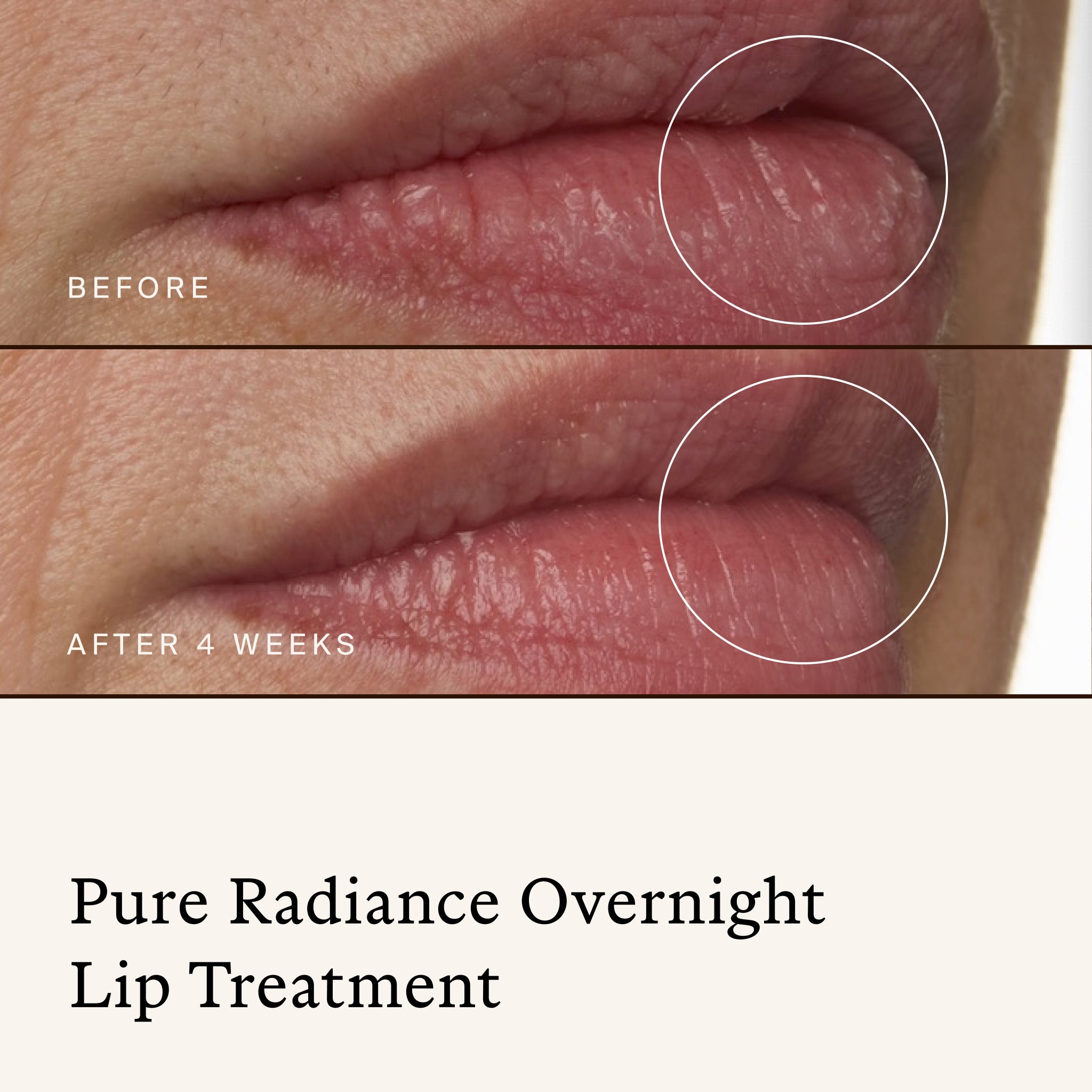 True Botanicals-Stocking Stuffer Best Sellers Lip Duo-Skincare-S-W-K-26LD-R_5-The Detox Market | 