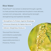 EVOLVh-SmartCurl Hydrating Wash-Hair-SmartCurlShampooRiceWater-The Detox Market | 