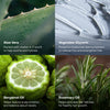 Everist-The Everist Holiday Bonbon-Body-TheDetoxMarket_PDP_Holiday_BonBon8-The Detox Market | 