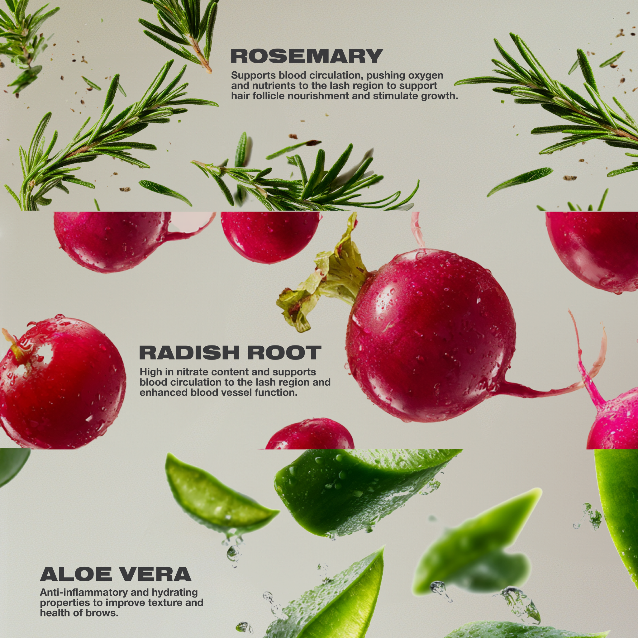 Imarais Beauty-Thrive-Wellness-Thrive4-The Detox Market | 