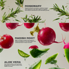 Imarais Beauty-Thrive-Wellness-Thrive4-The Detox Market | 