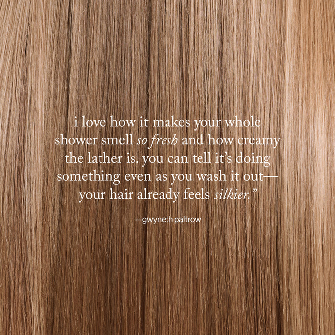 Goop-Goopglow Restore + Shine Amino Acid Shampoo-Hair-aminoacidshampoo_imgCarousel_GPquote-The Detox Market | 