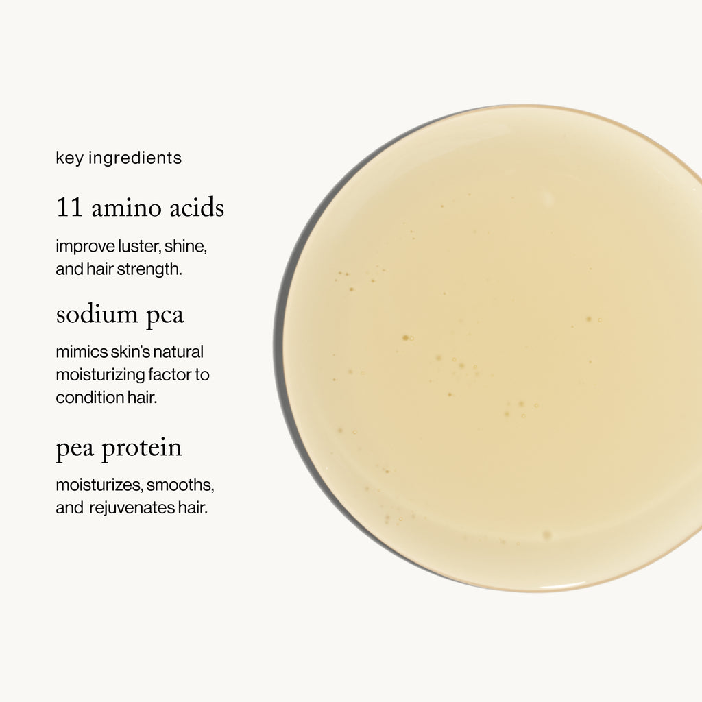 Goop-Goopglow Restore + Shine Amino Acid Shampoo-Hair-aminoacidshampoo_imgCarousel_ingredients-The Detox Market | 