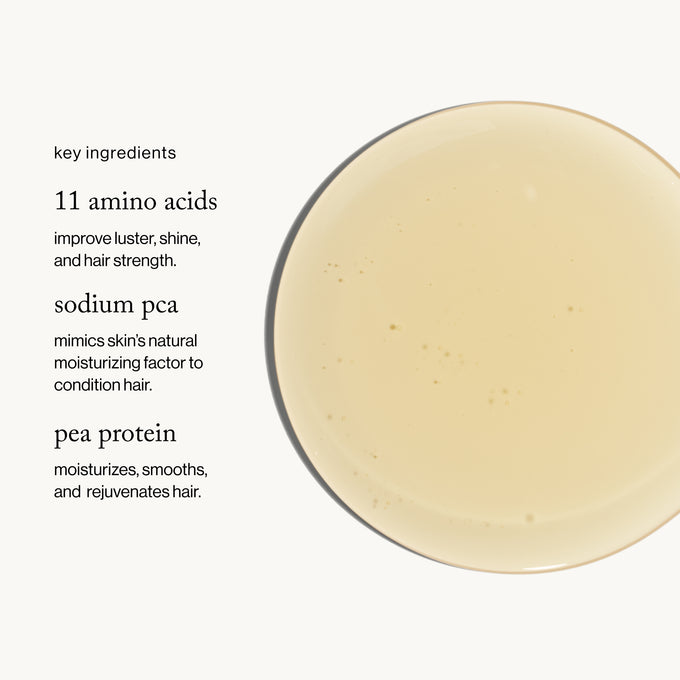 Goop-Goopglow Restore + Shine Amino Acid Shampoo-Hair-aminoacidshampoo_imgCarousel_ingredients-The Detox Market | 