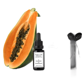 A Summer in Hossegor